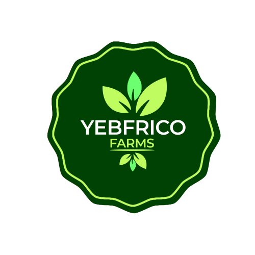 YEBRICO_FARMS_1__1_-removebg-preview